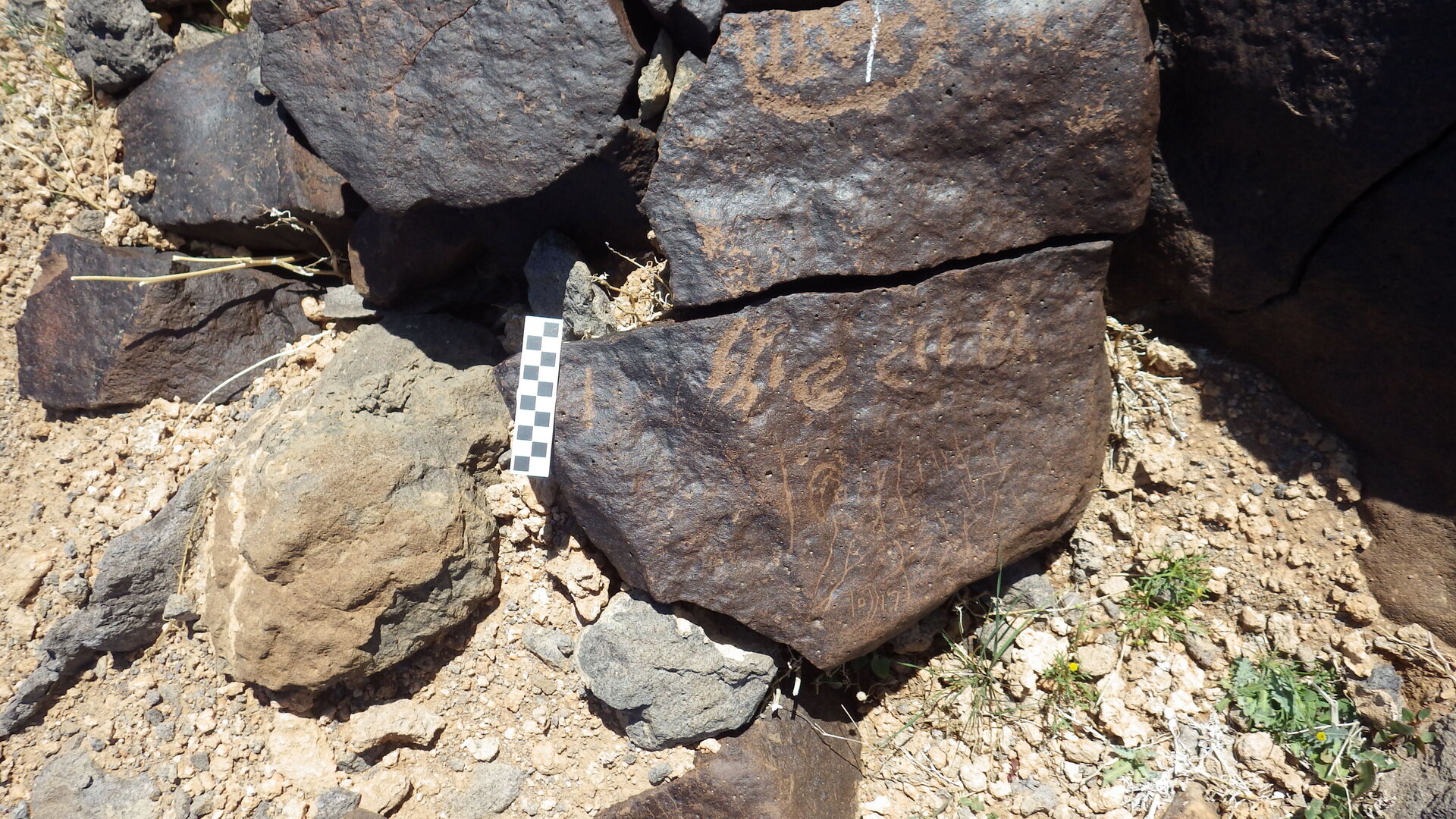 Image of siglum BES20 505