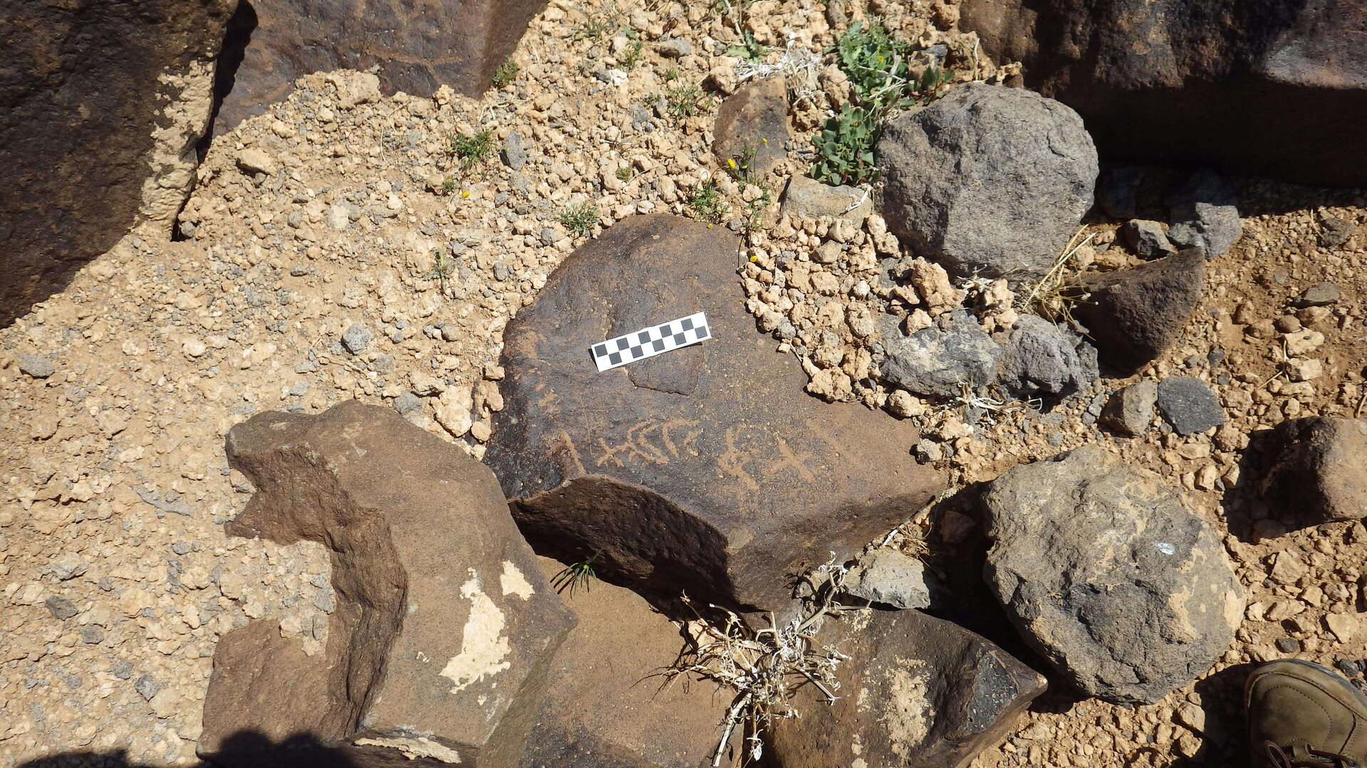 Image of siglum BES20 506