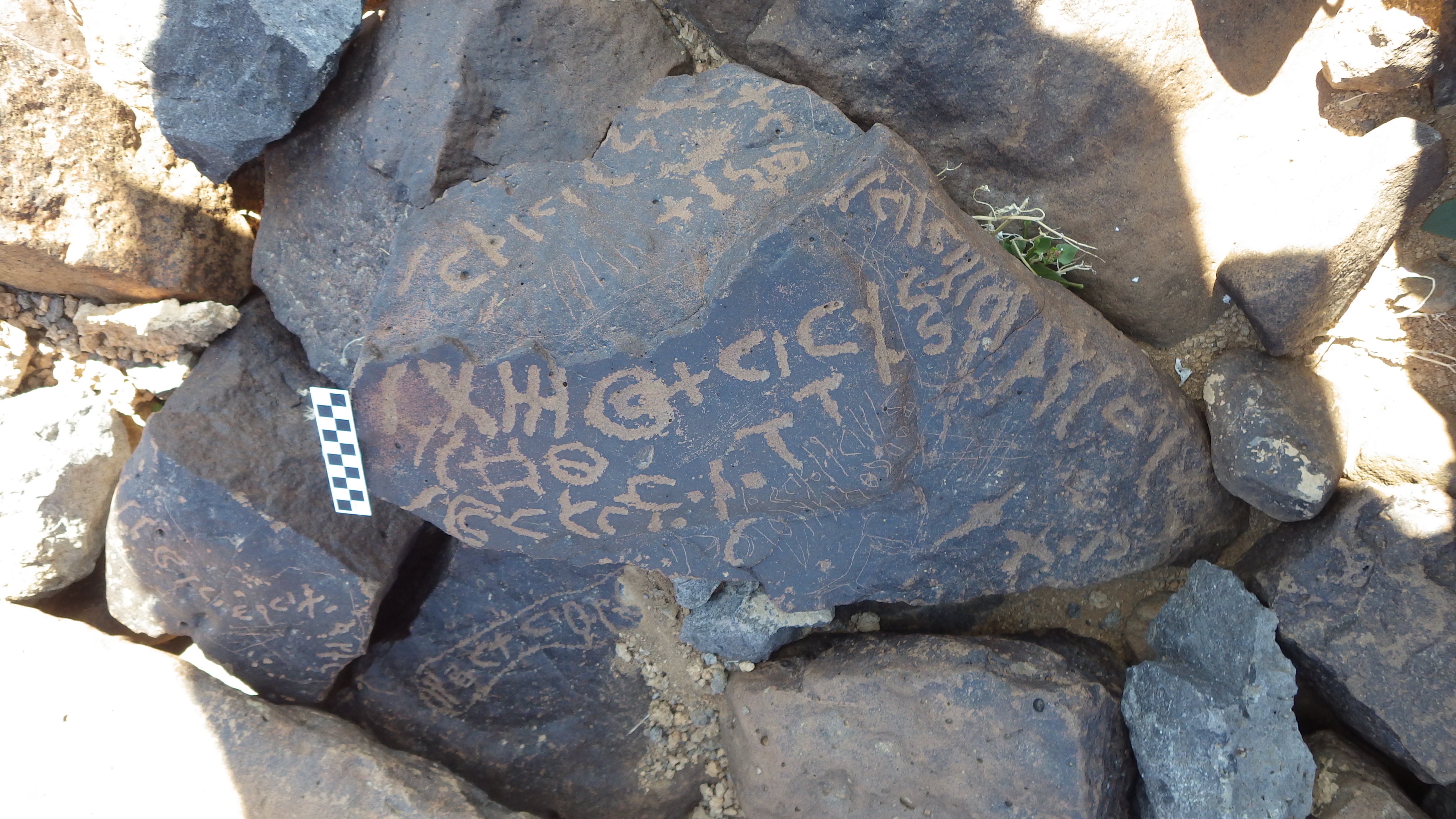 Image of siglum BES20 507