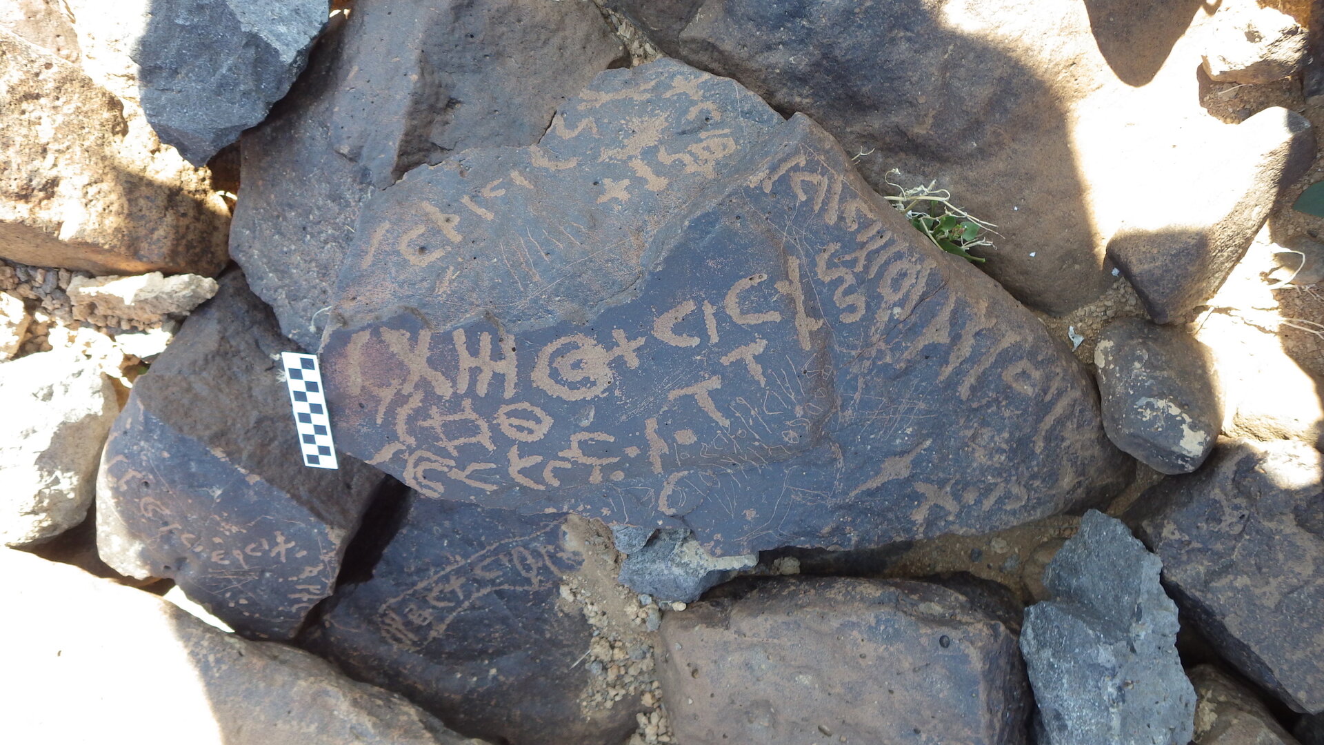 Image of siglum BES20 507