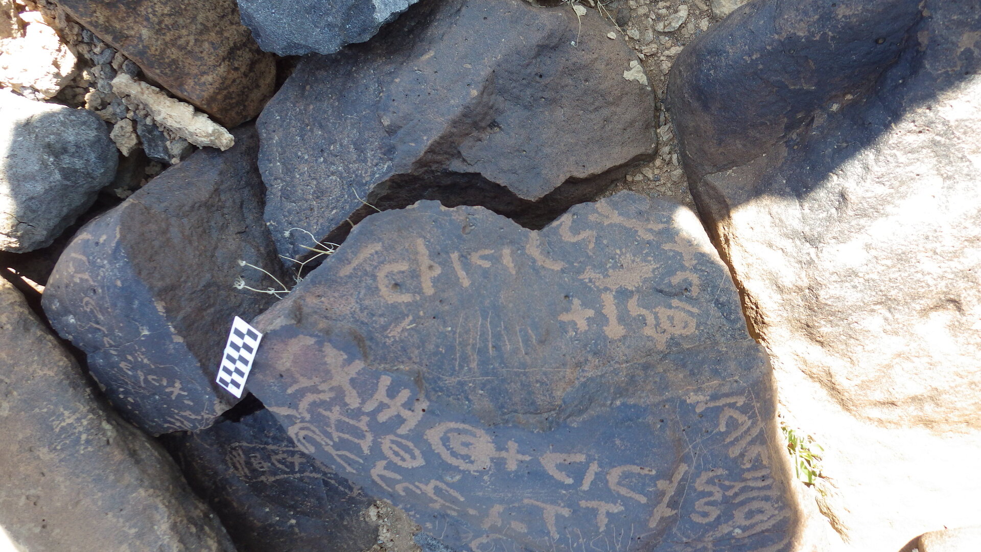 Image of siglum BES20 507