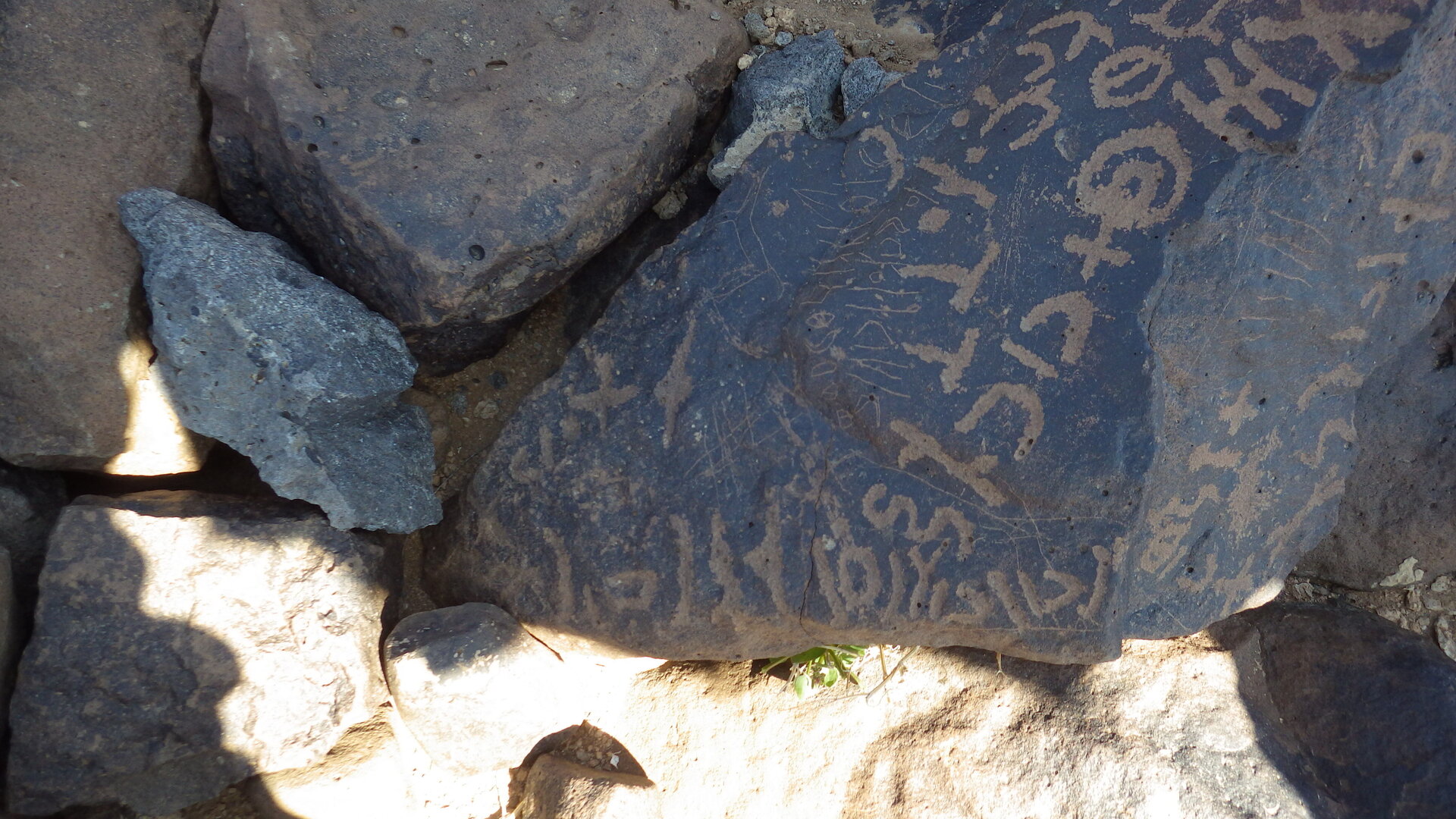 Image of siglum BES20 507