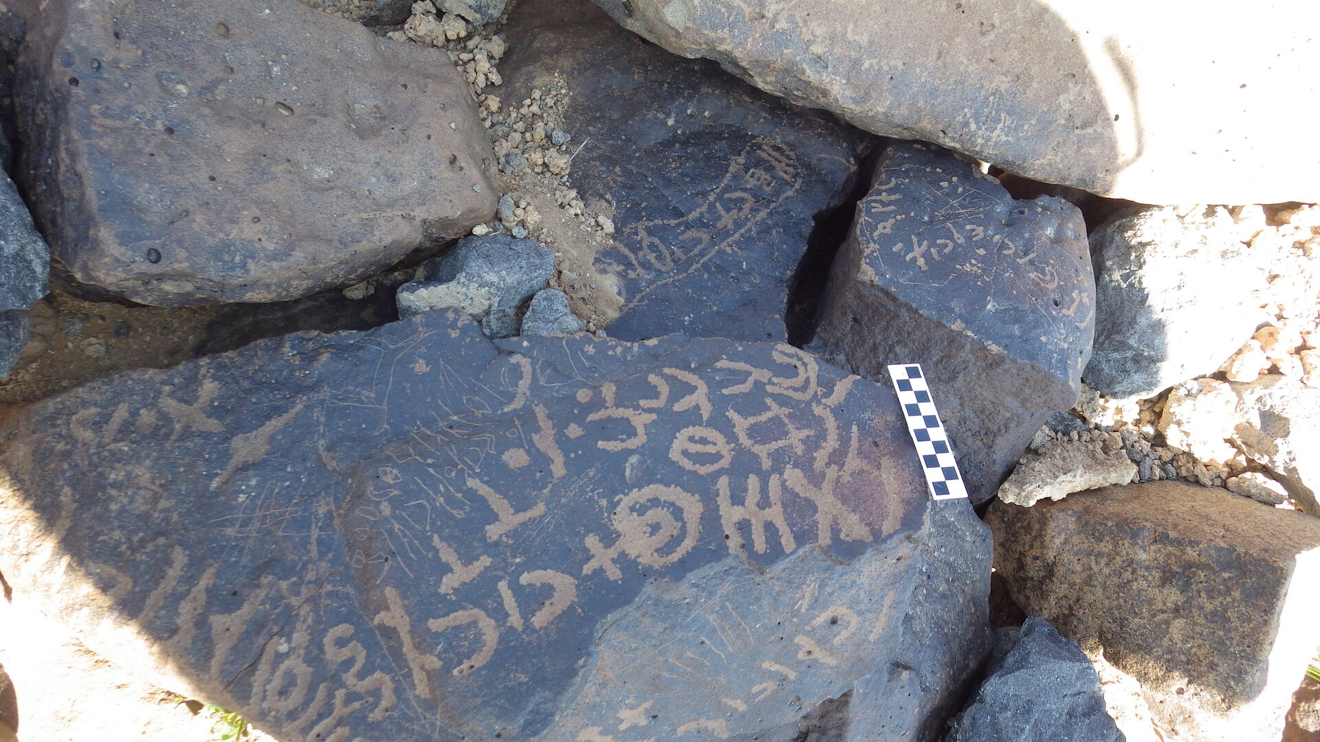 Image of siglum BES20 508
