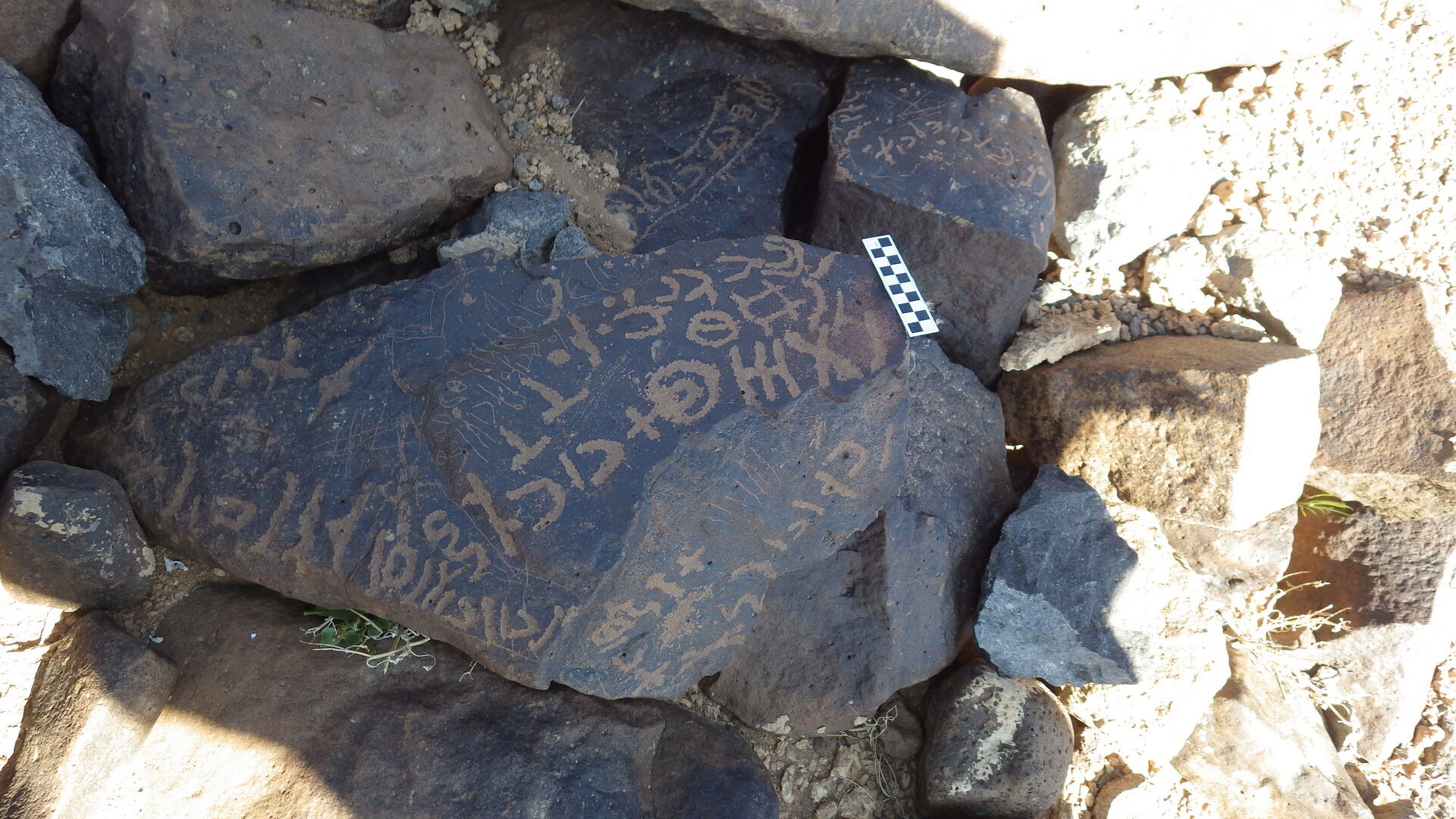 Image of siglum BES20 508