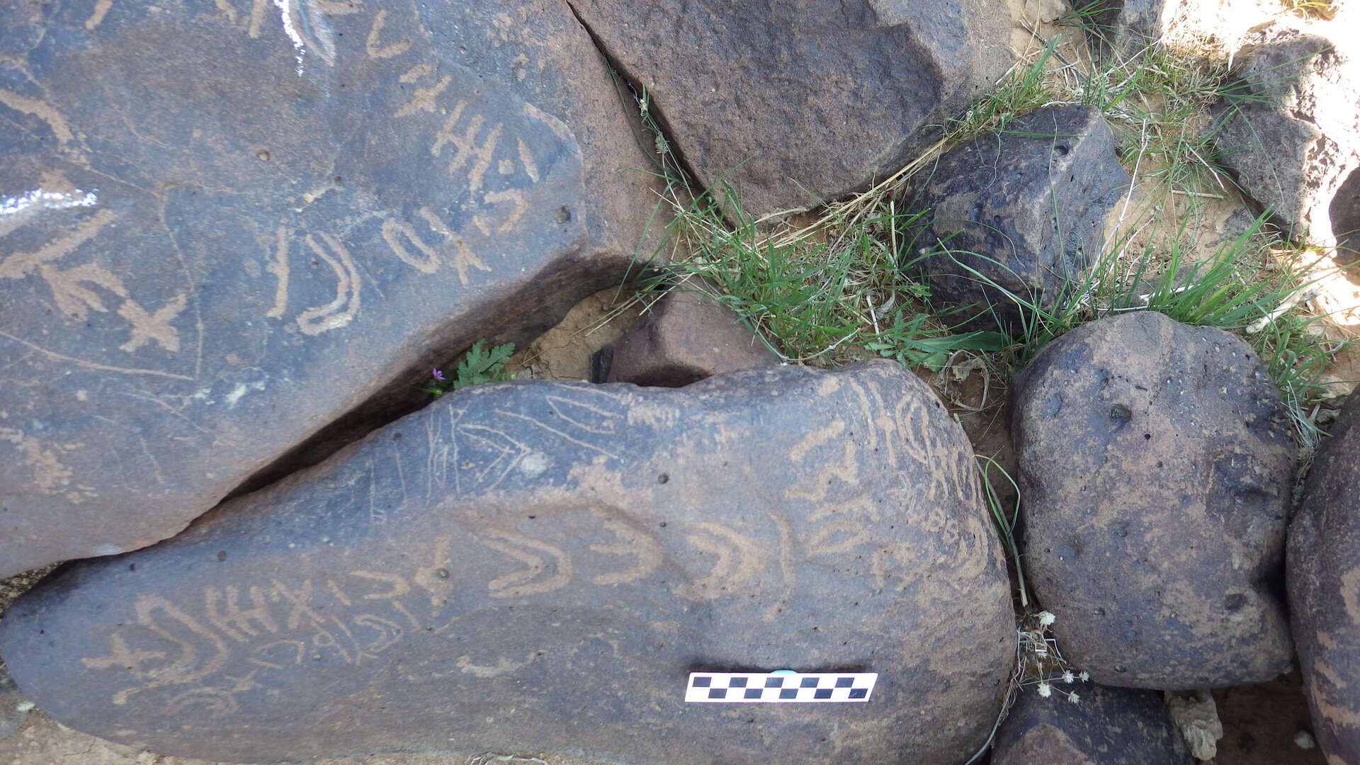 Image of siglum BES20 511