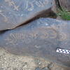 Image of siglum BES20 511