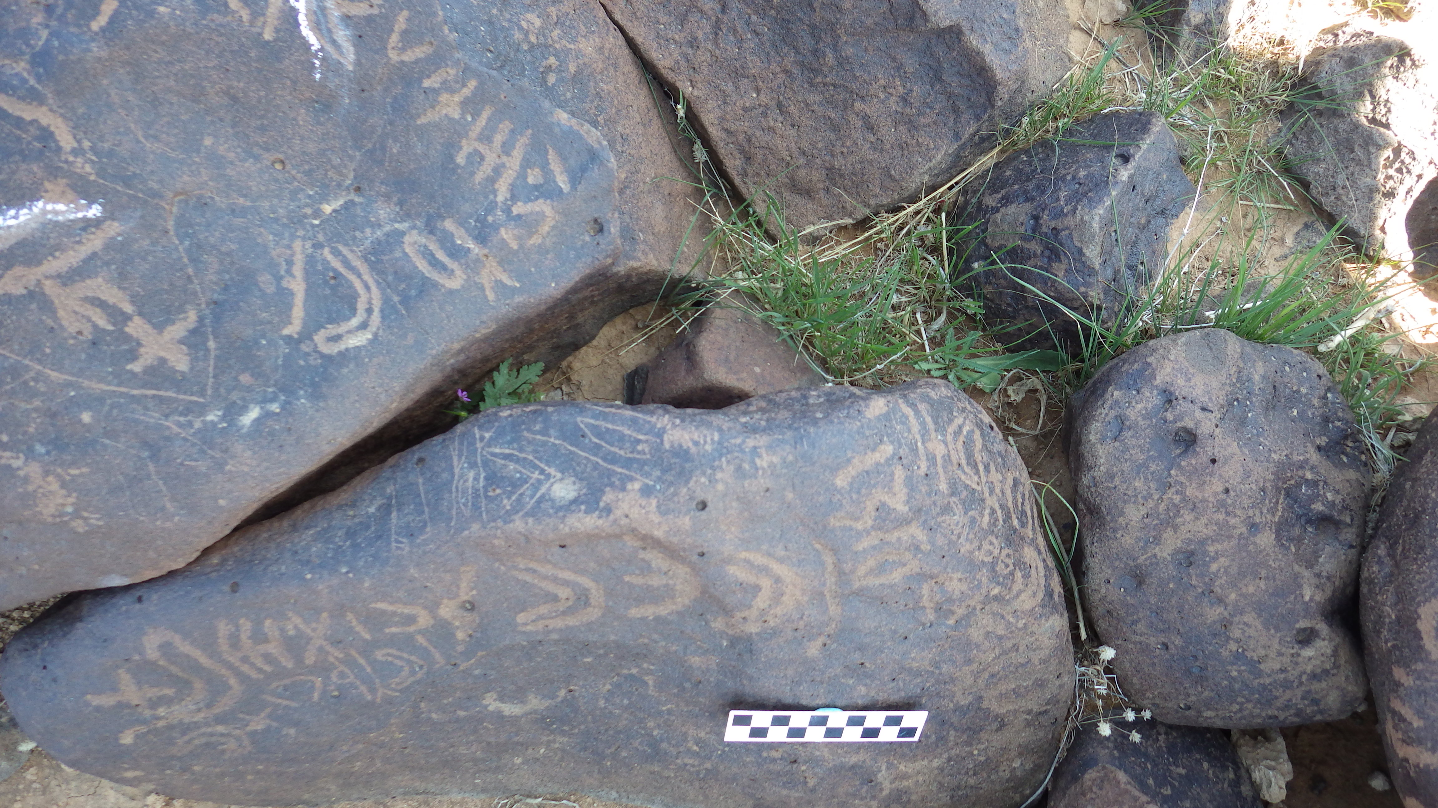 Image of siglum BES20 513