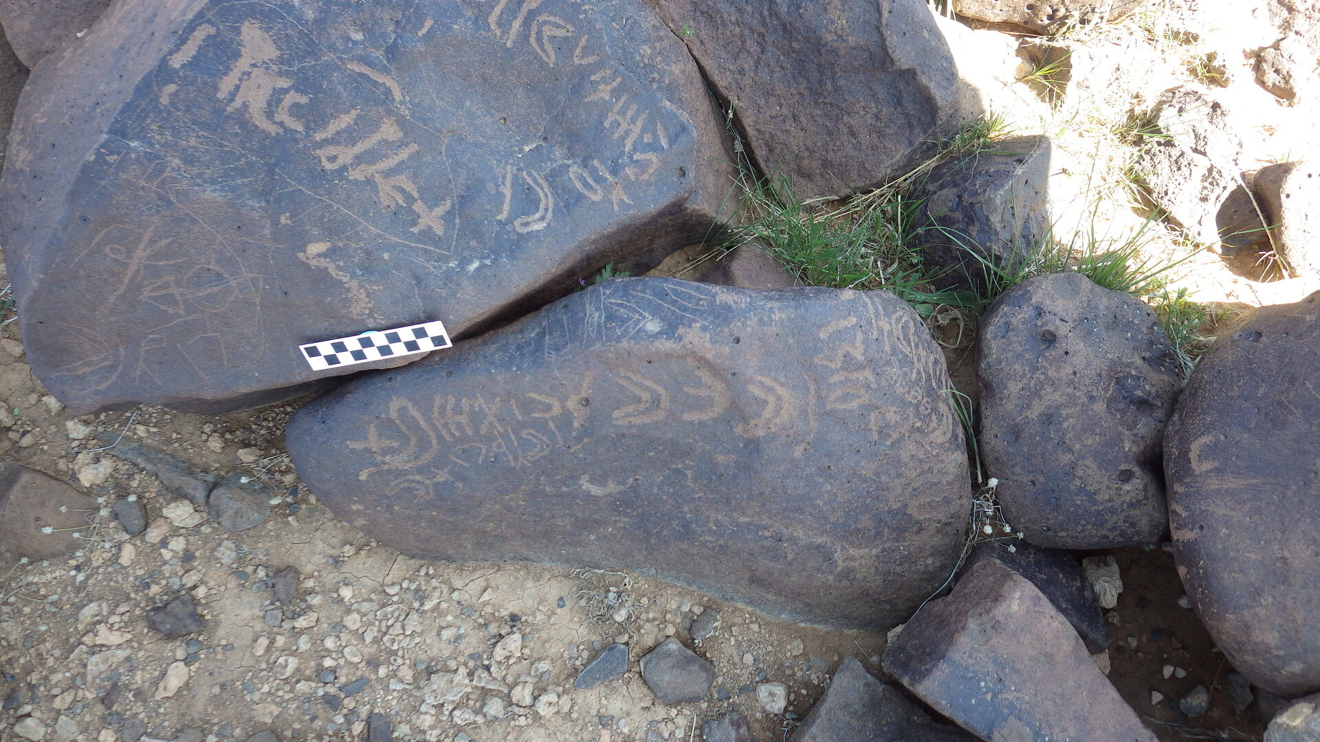 Image of siglum BES20 515