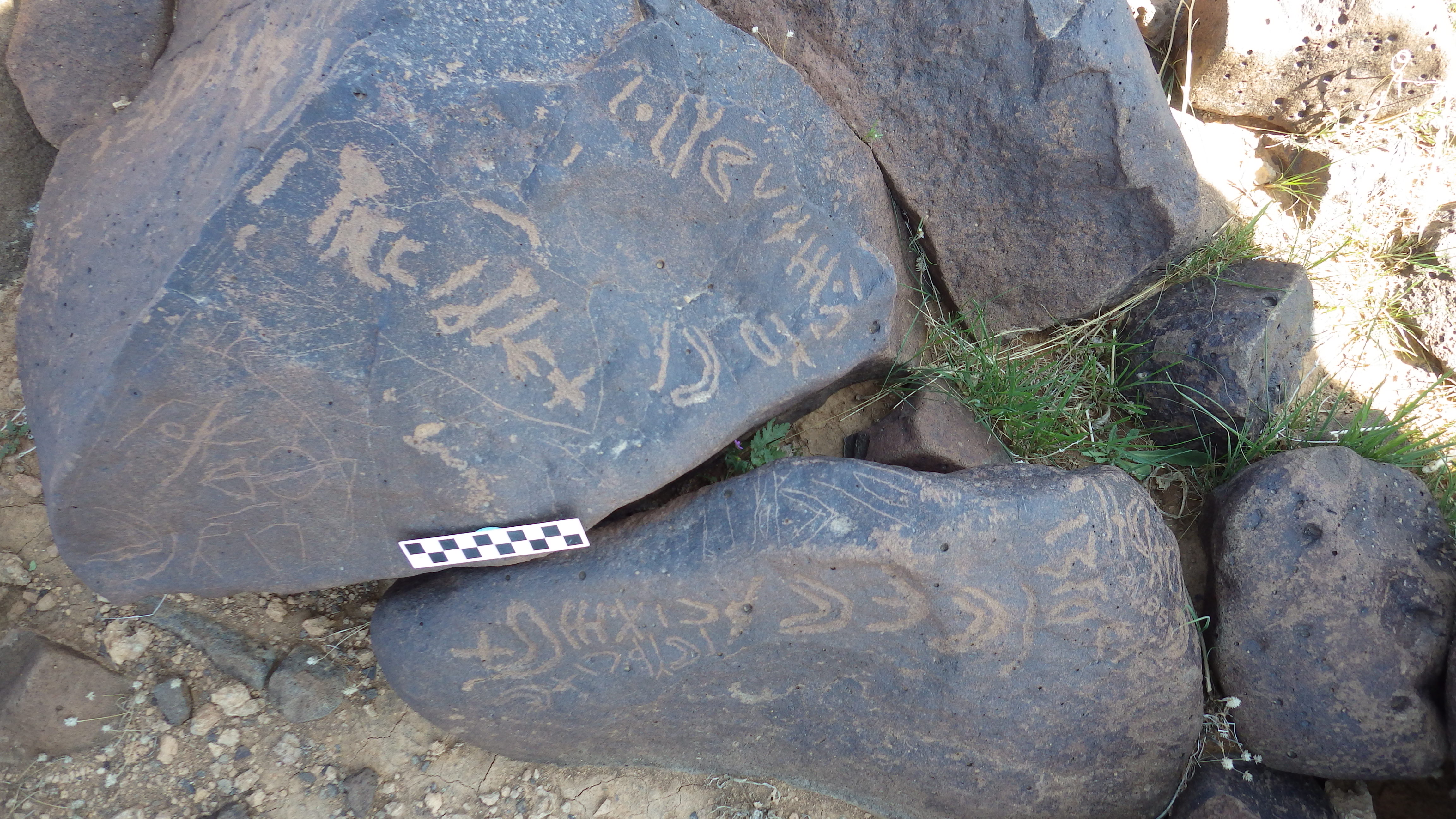 Image of siglum BES20 517