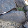 Image of siglum BES20 517