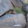 Image of siglum BES20 517