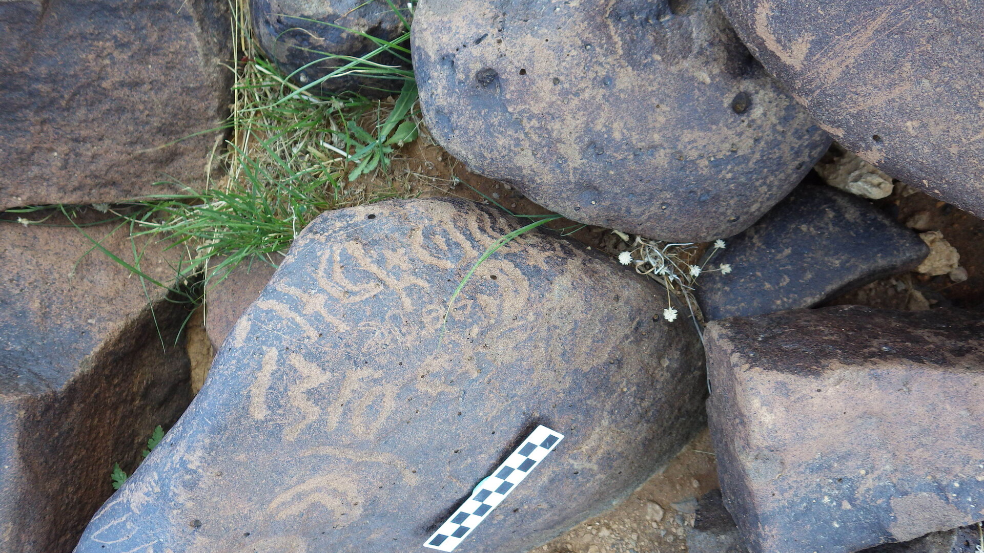 Image of siglum BES20 520