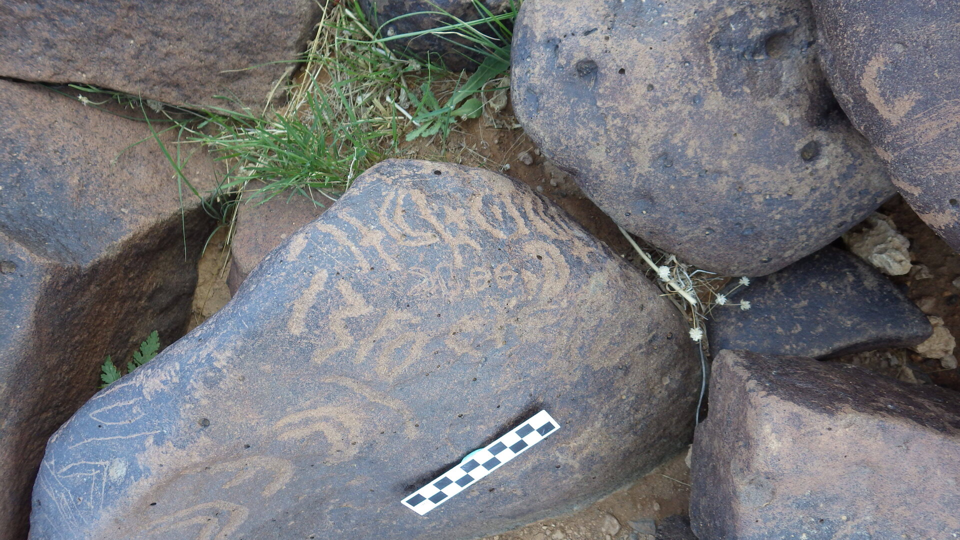Image of siglum BES20 520