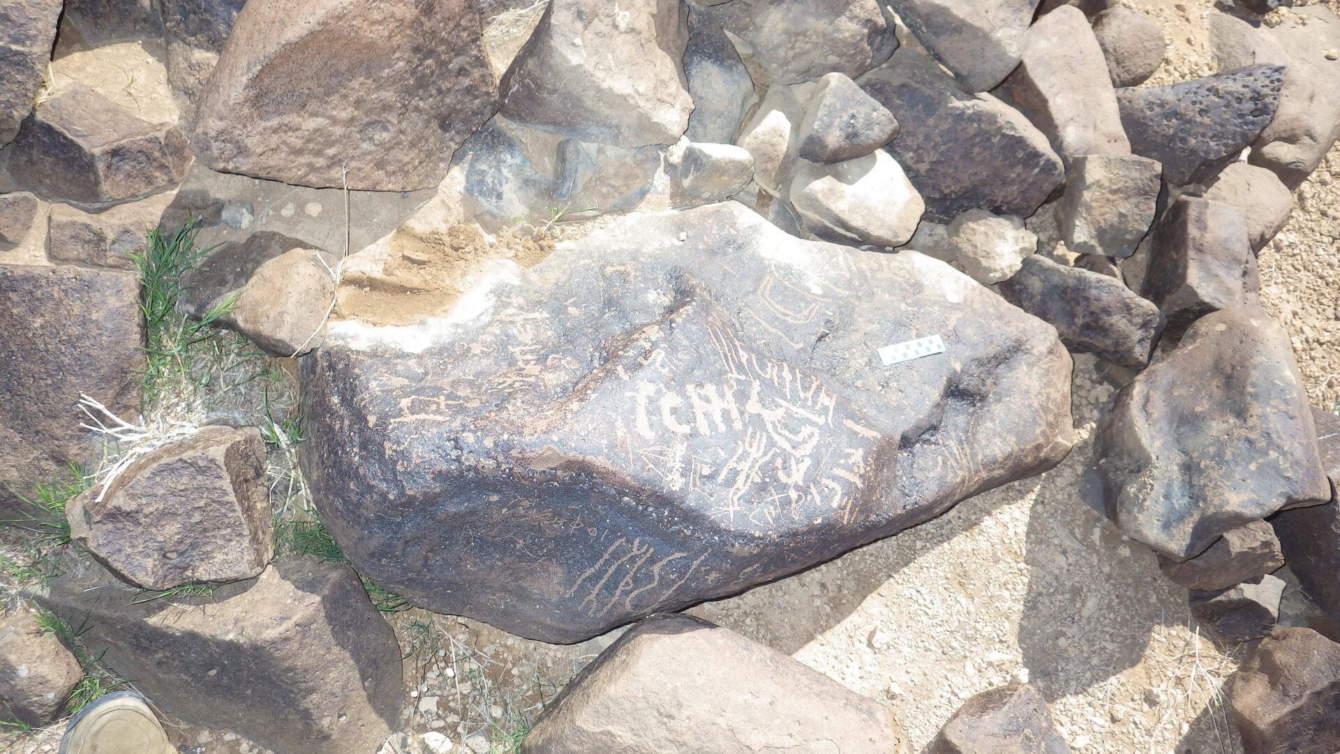 Image of siglum BES20 530