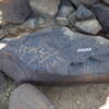 Image of siglum BES20 531