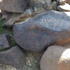 Image of siglum BES20 531