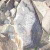 Image of siglum BES20 531