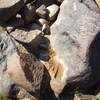 Image of siglum BES20 531