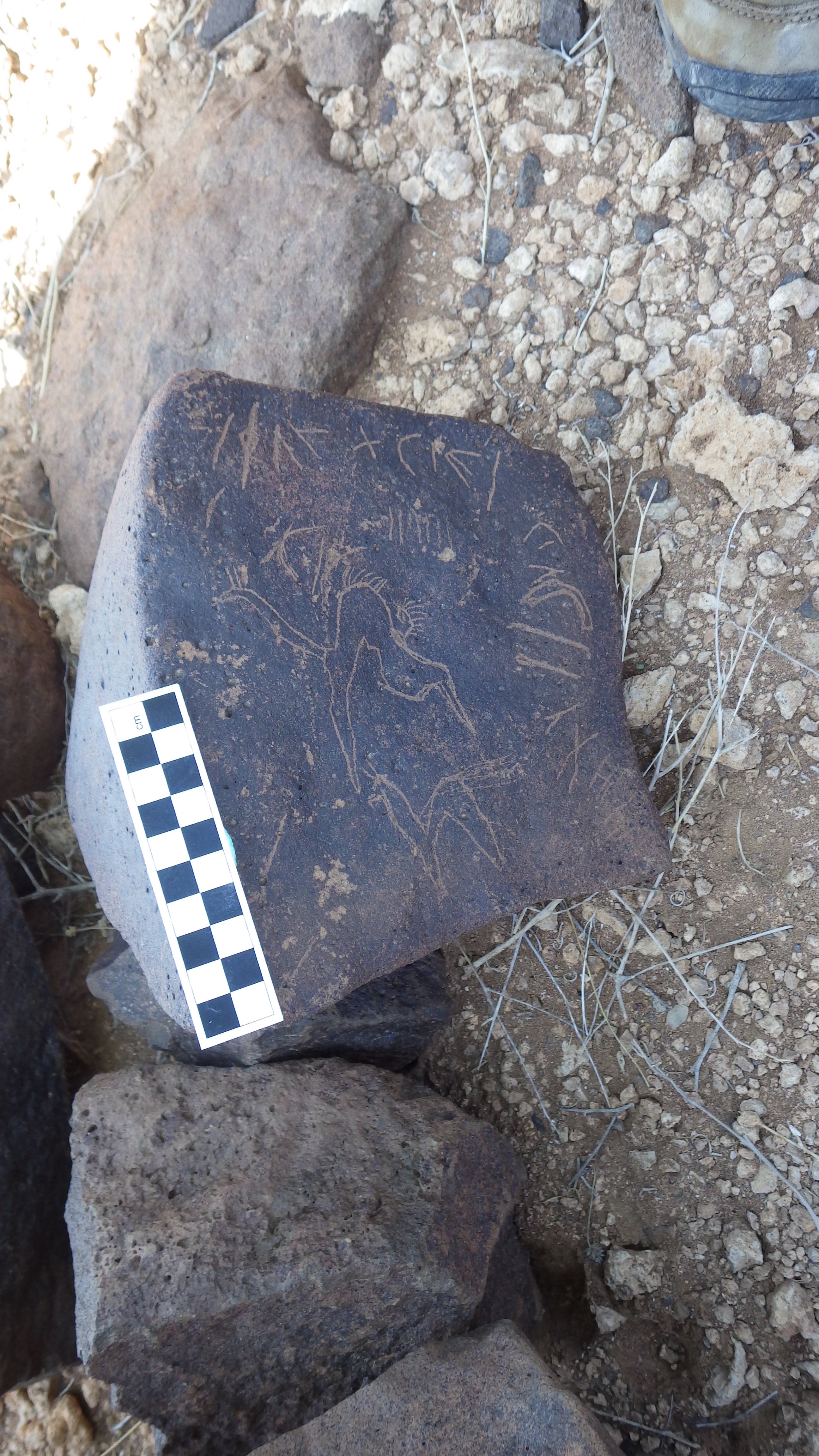 Image of siglum BES20 536