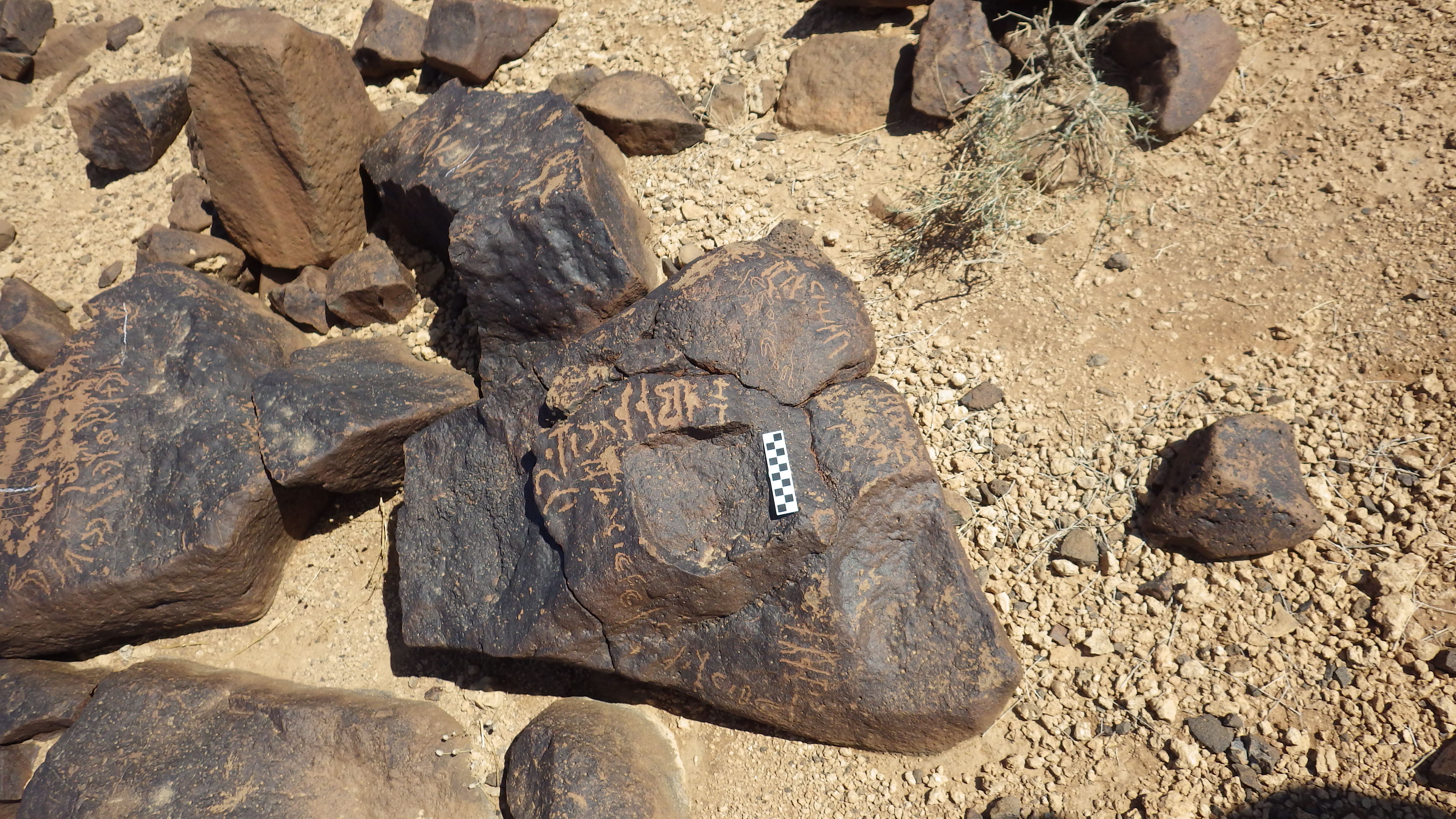 Image of siglum BES20 537