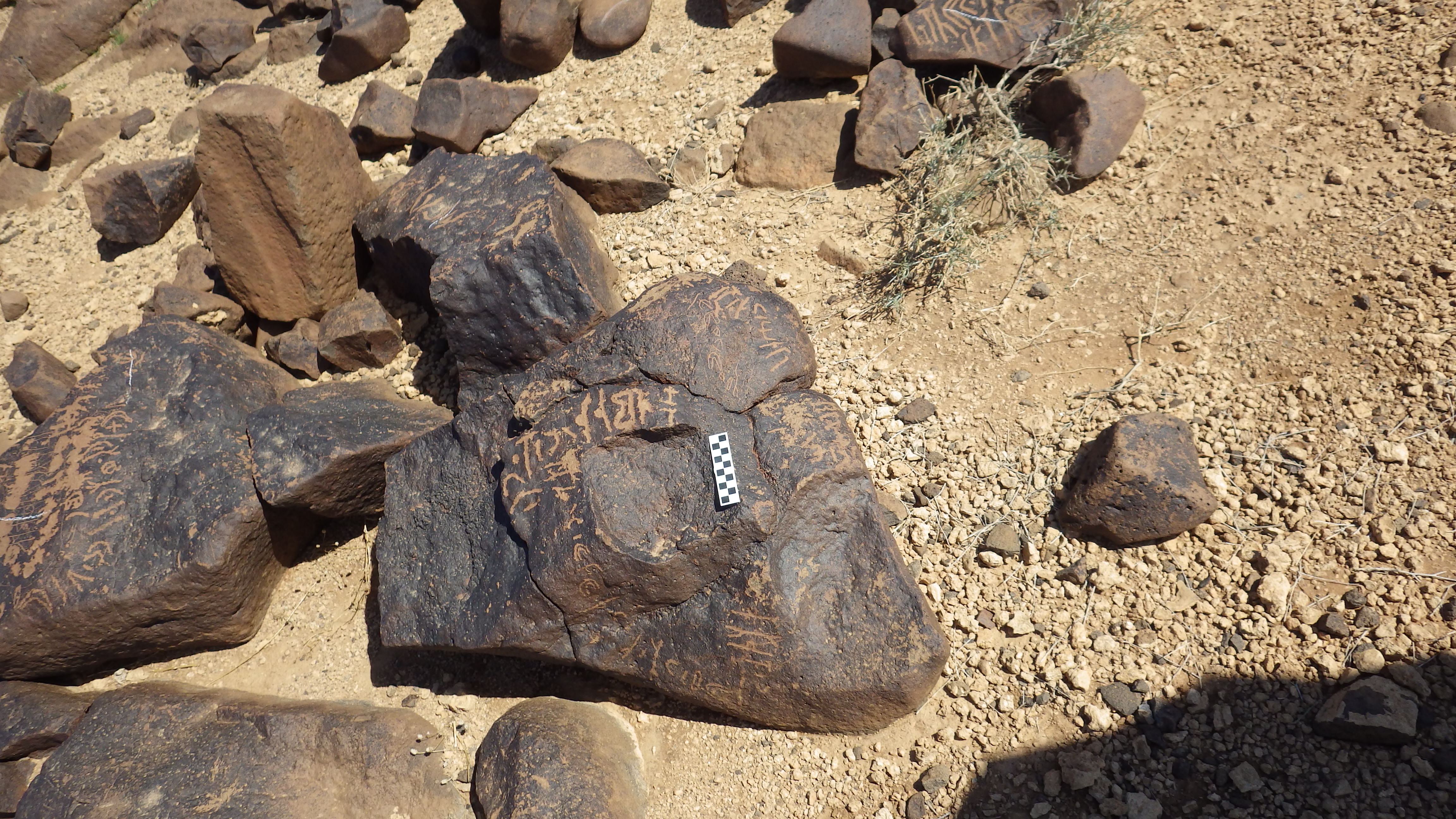 Image of siglum BES20 538