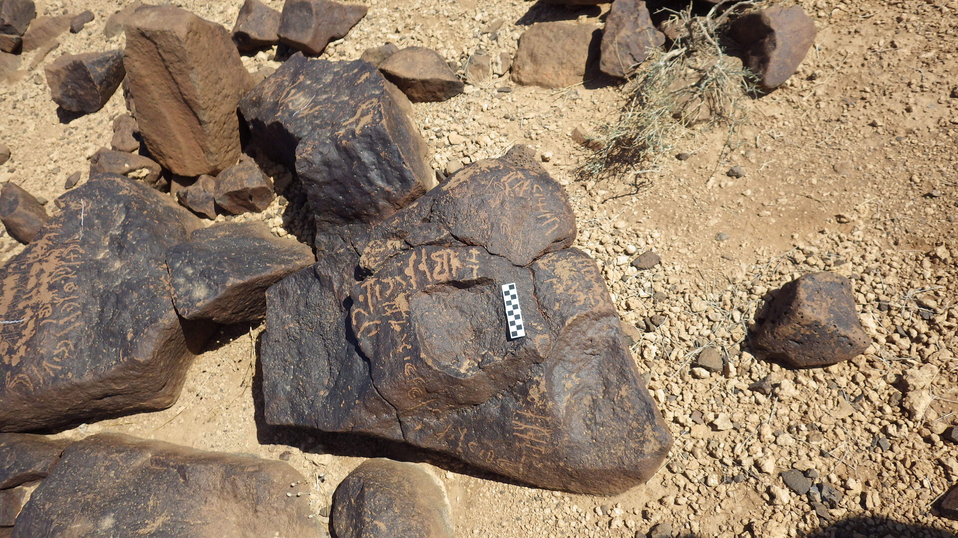 Image of siglum BES20 538