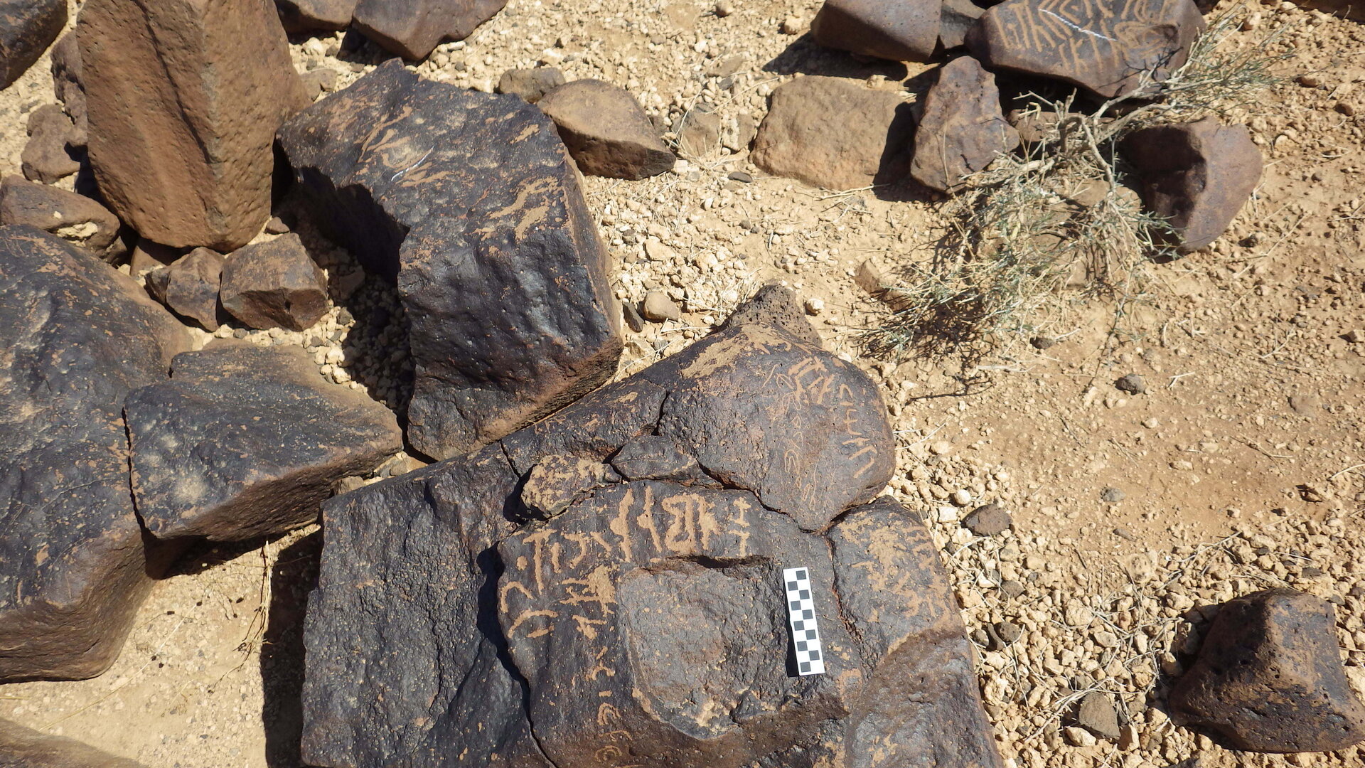 Image of siglum BES20 542