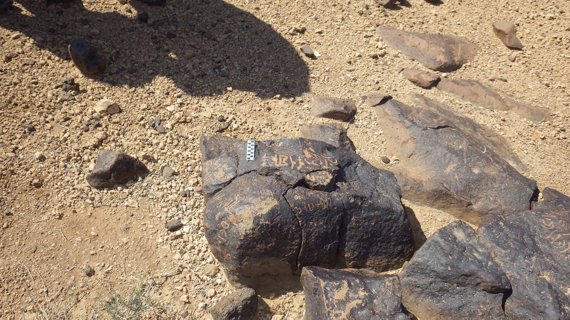 Image of siglum BES20 542