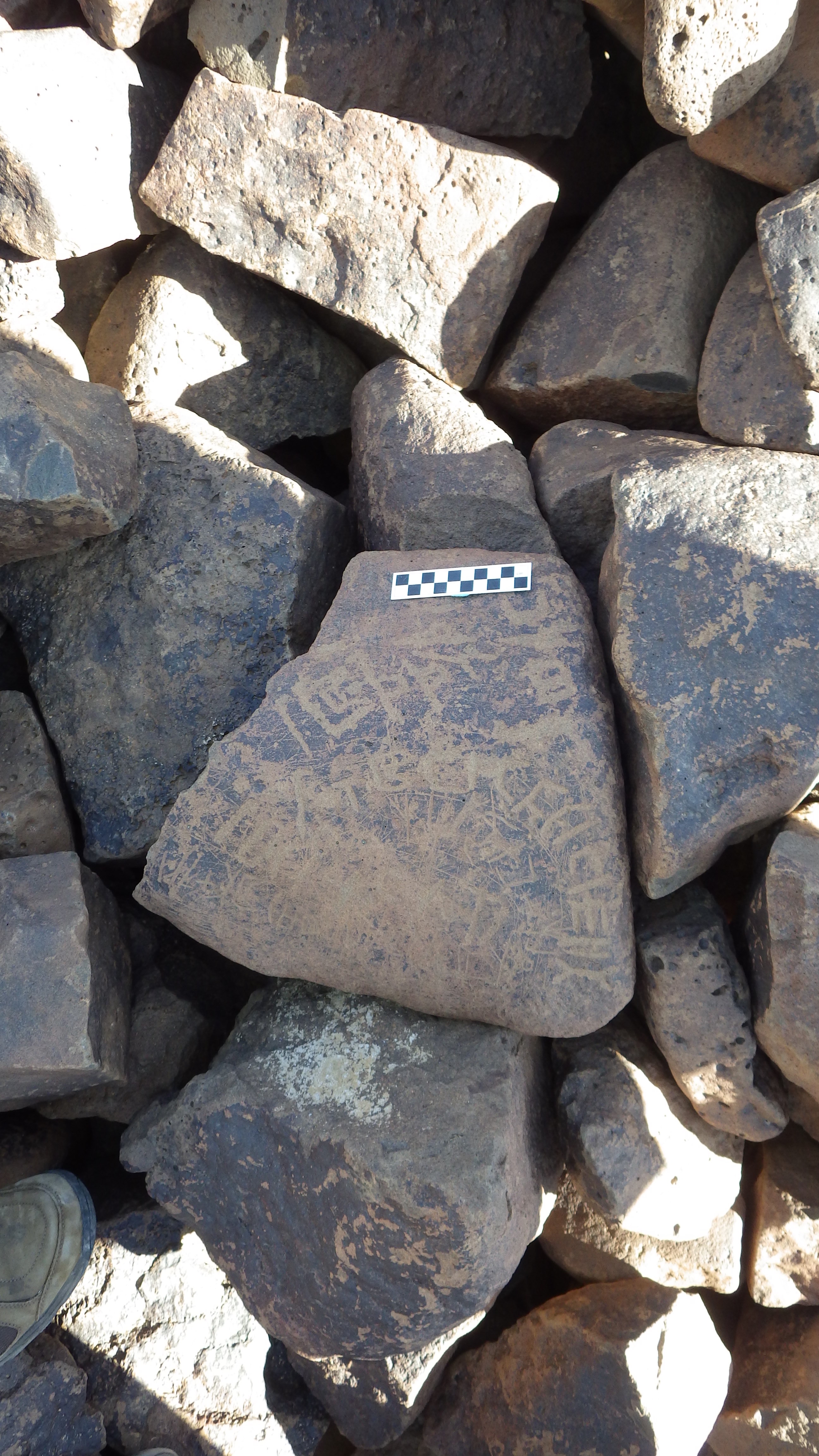 Image of siglum BES20 547