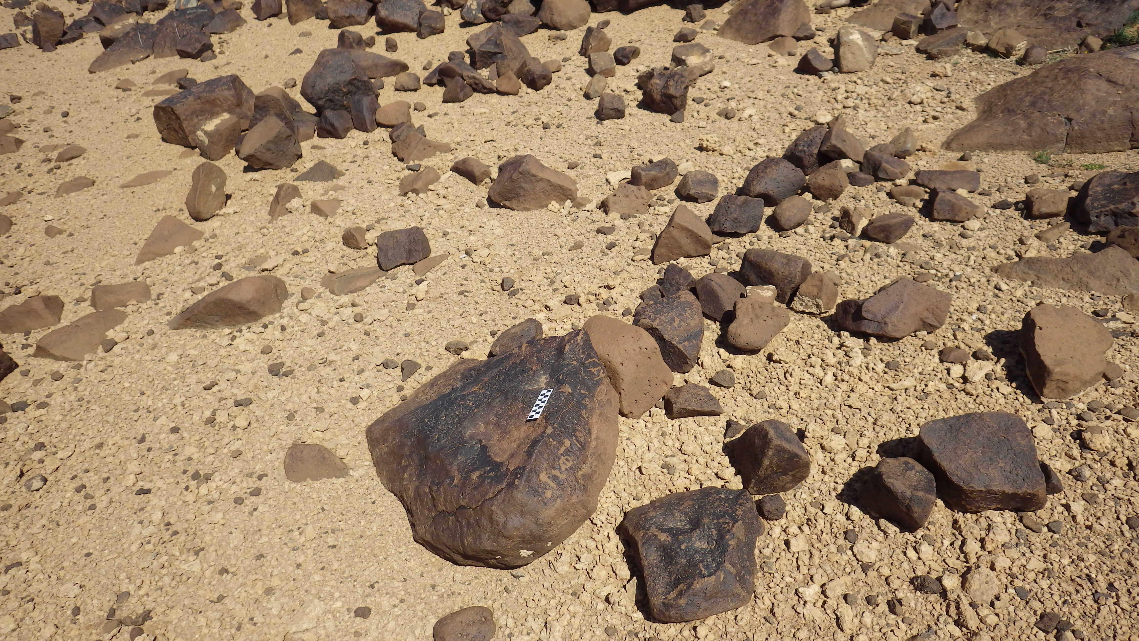 Image of siglum BES20 551