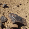 Image of siglum BES20 551