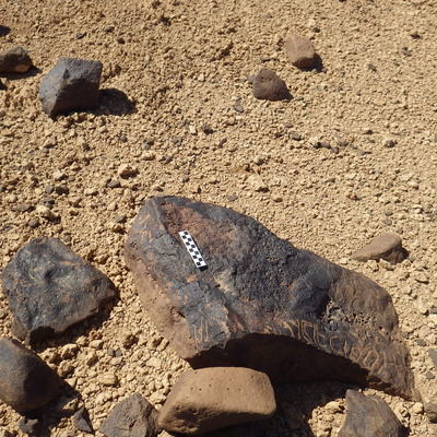 Image of siglum BES20 552