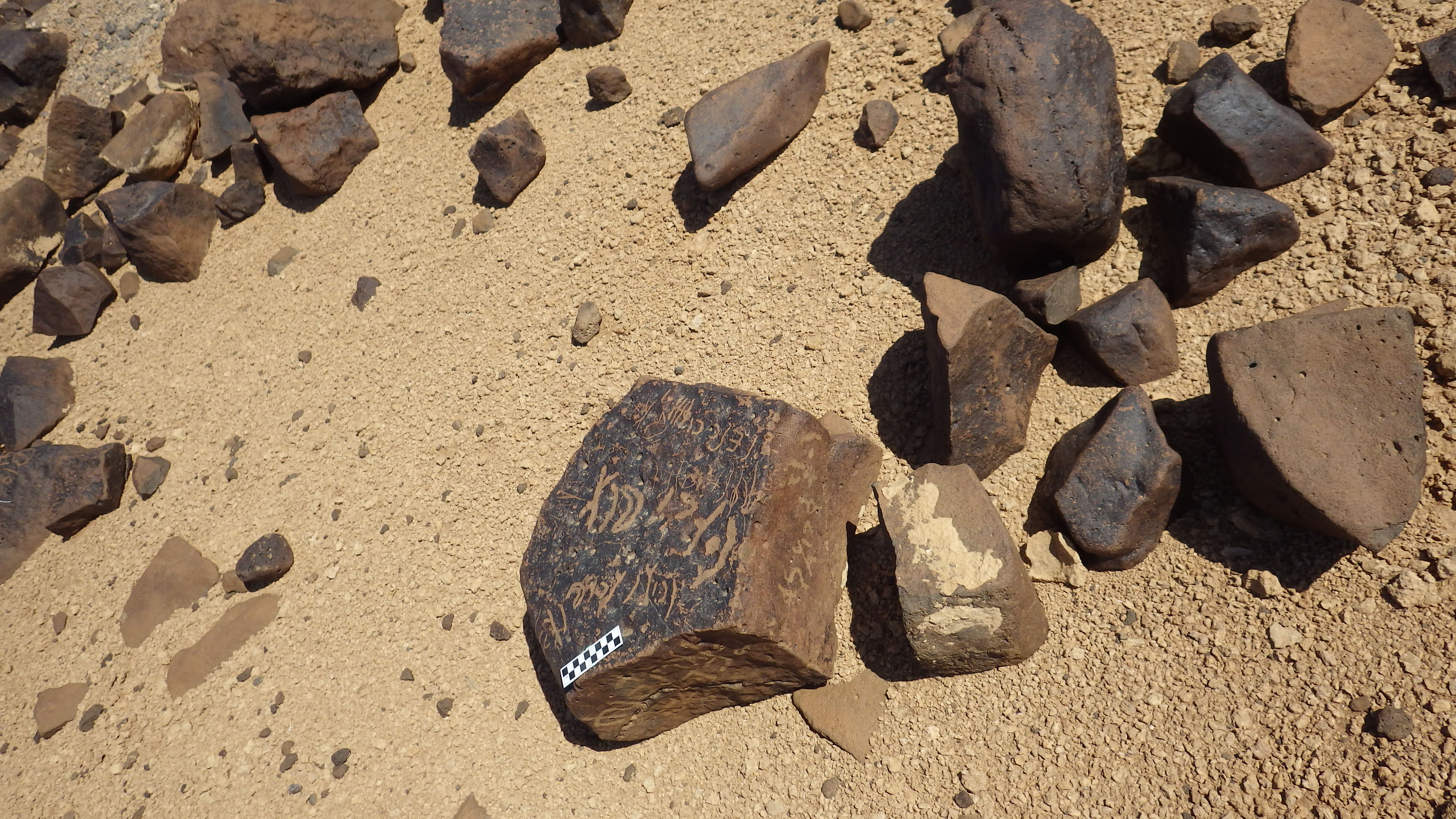 Image of siglum BES20 554