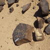 Image of siglum BES20 554