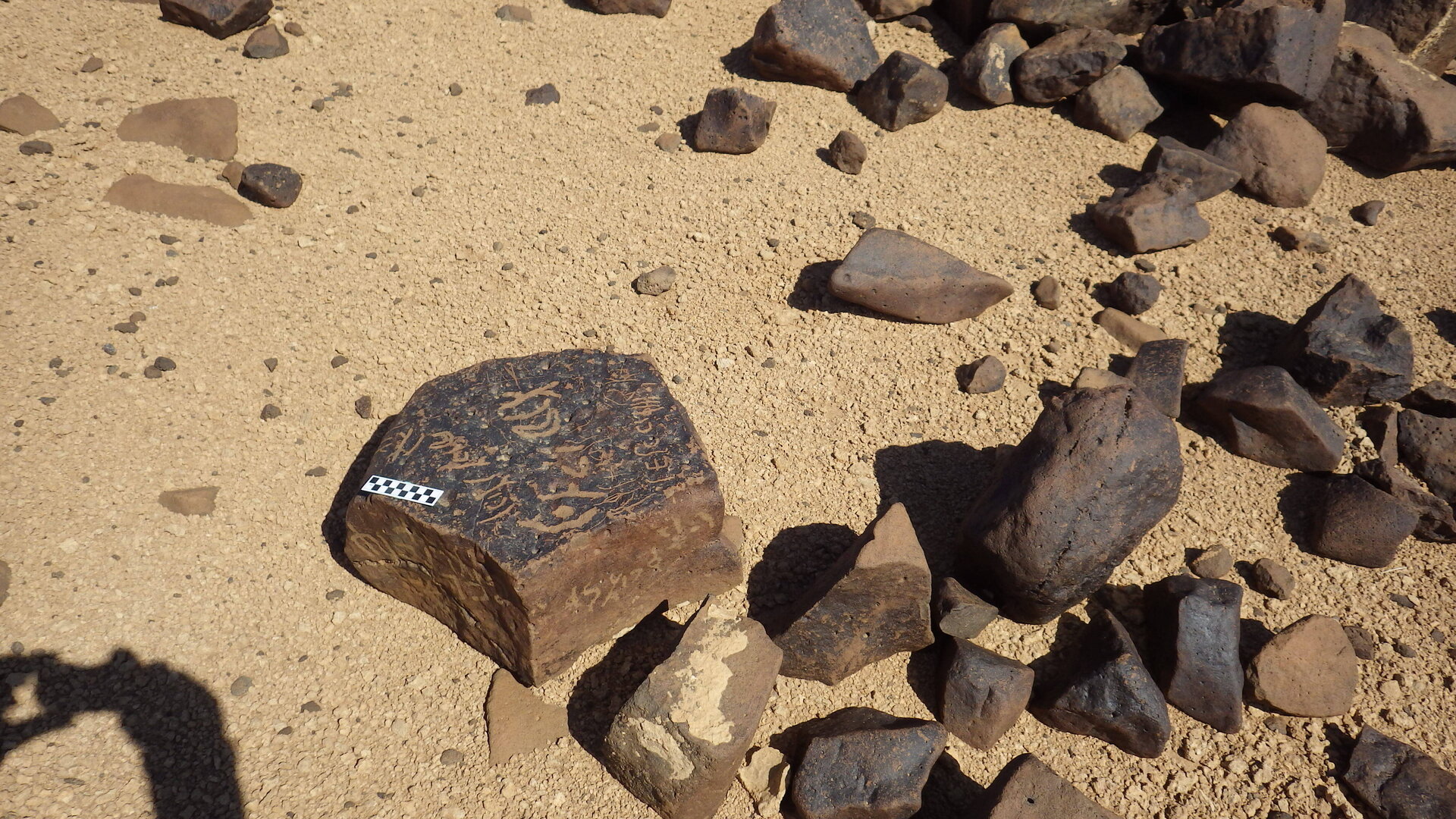 Image of siglum BES20 555