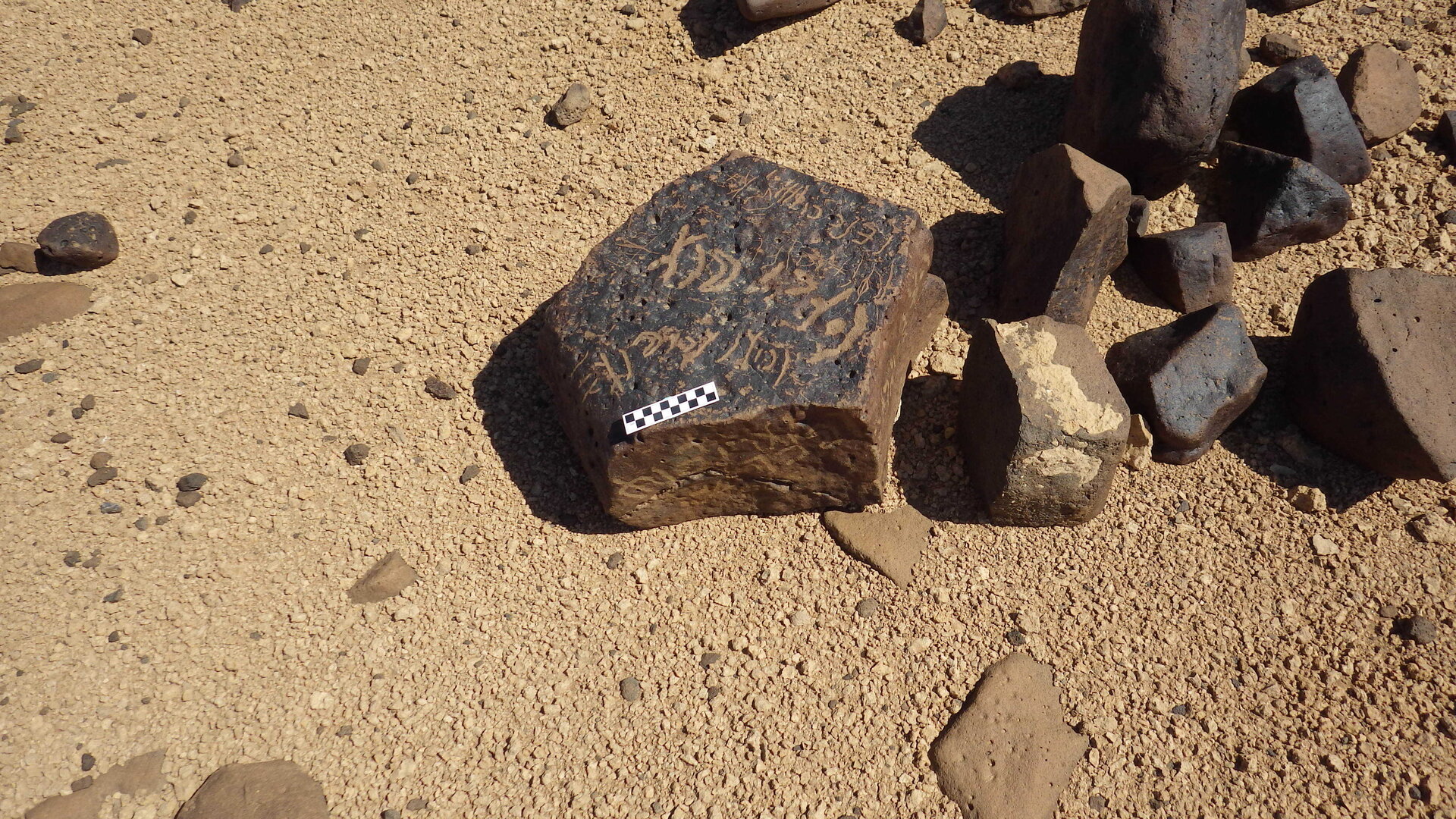 Image of siglum BES20 557
