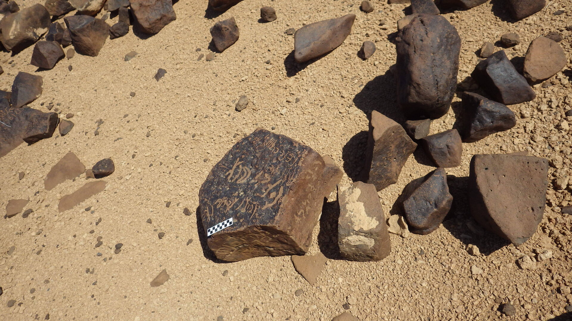 Image of siglum BES20 557