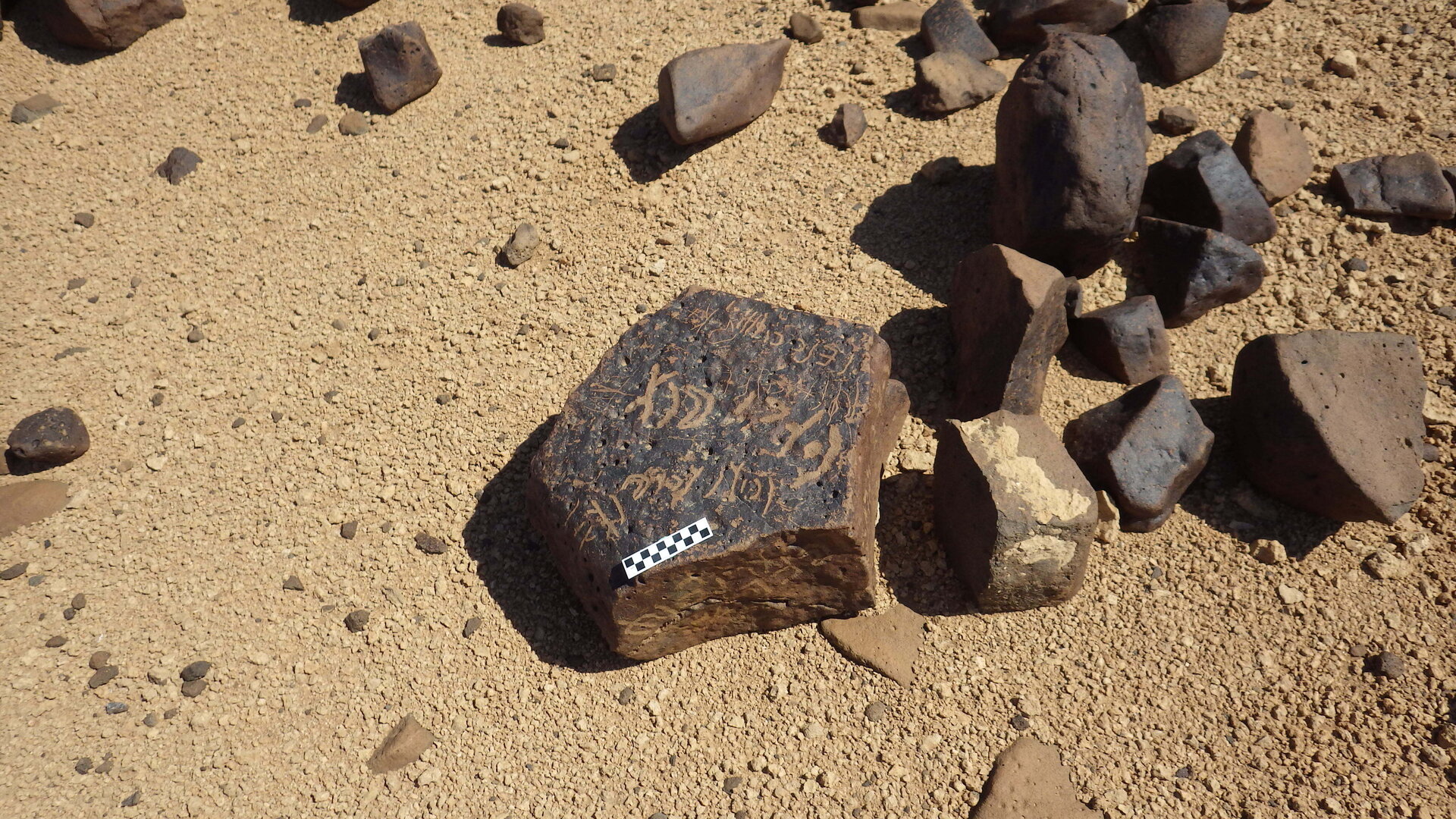 Image of siglum BES20 558