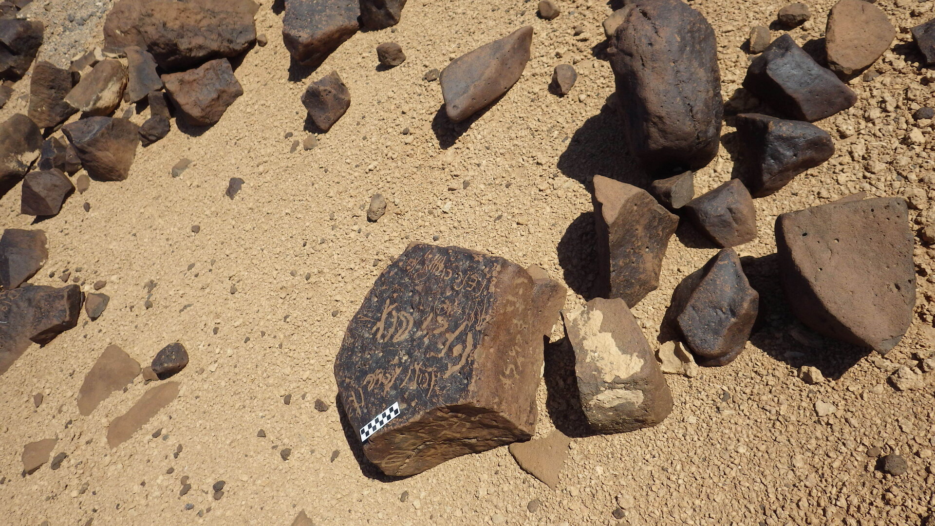 Image of siglum BES20 558