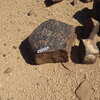 Image of siglum BES20 559