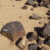 Image of siglum BES20 559