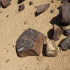 Image of siglum BES20 559