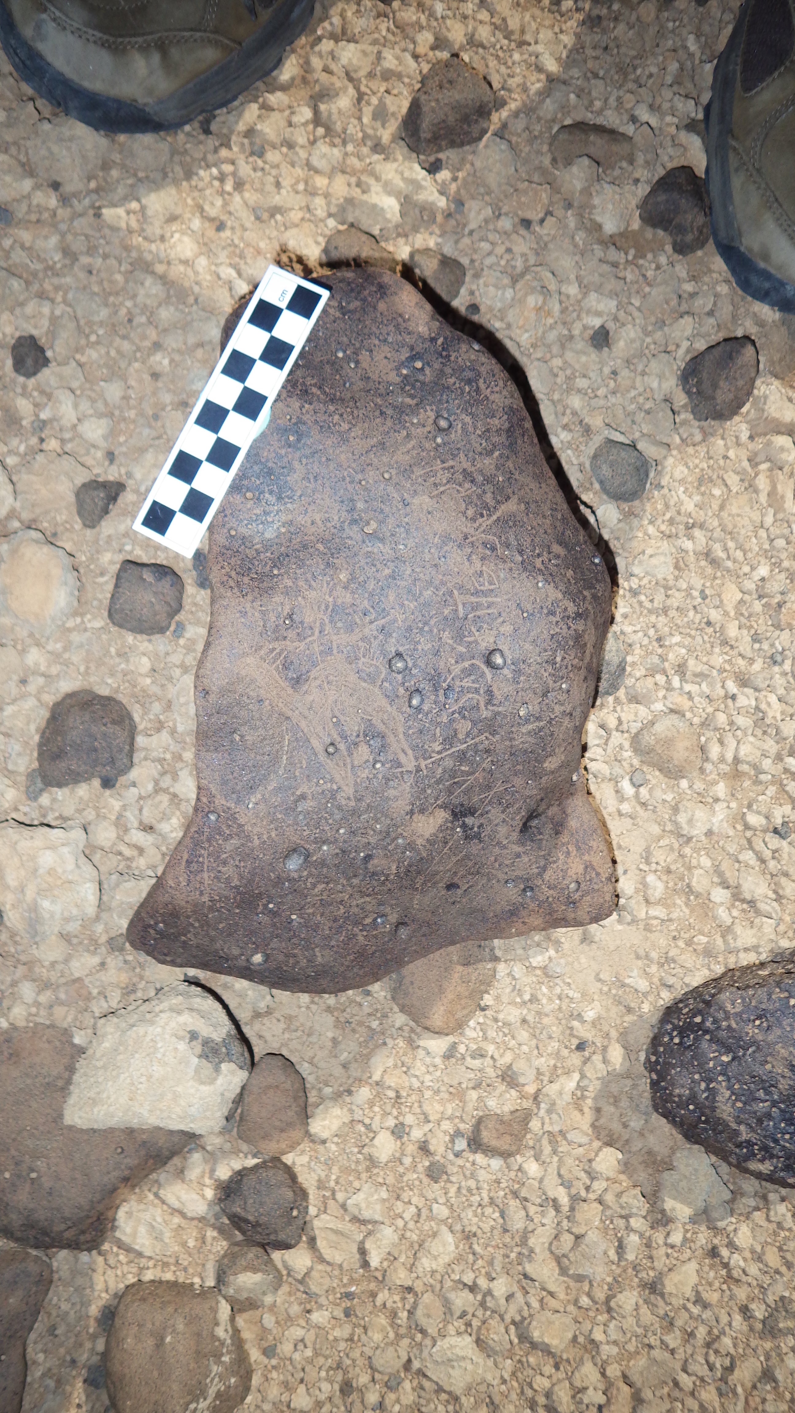 Image of siglum BES20 562