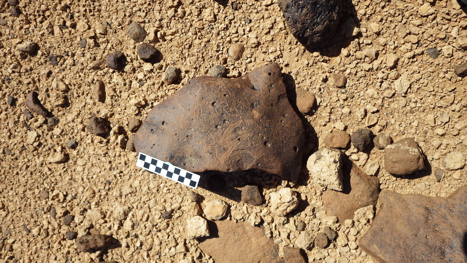 Image of siglum BES20 562