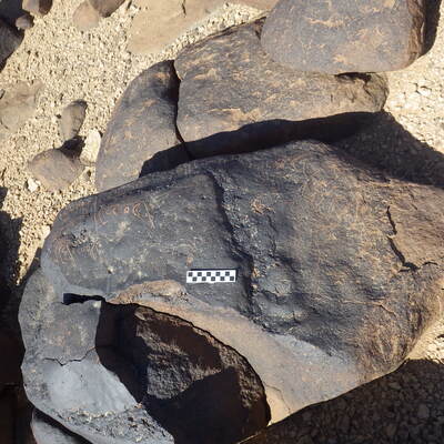 Image of siglum BES20 563