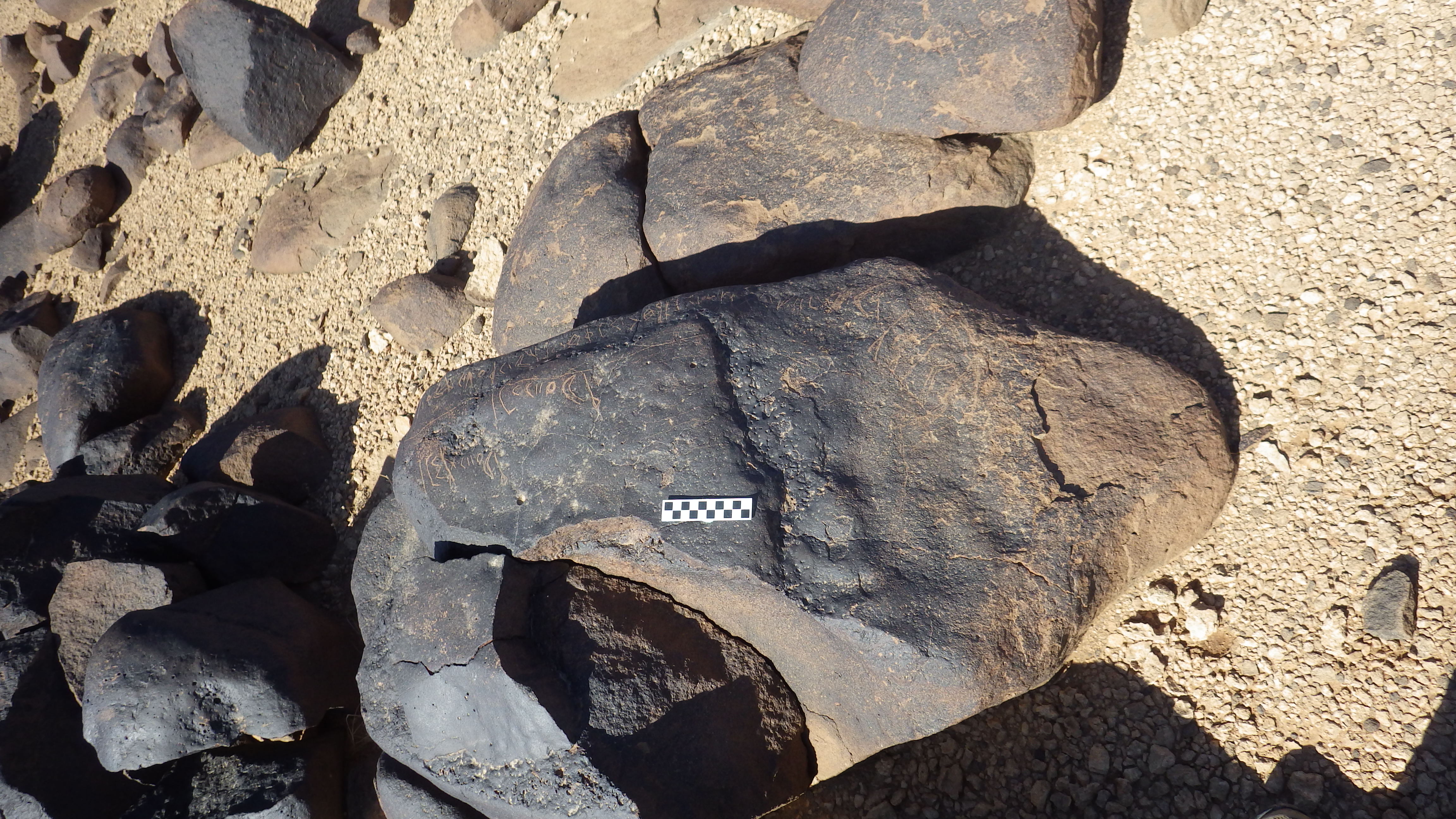 Image of siglum BES20 564