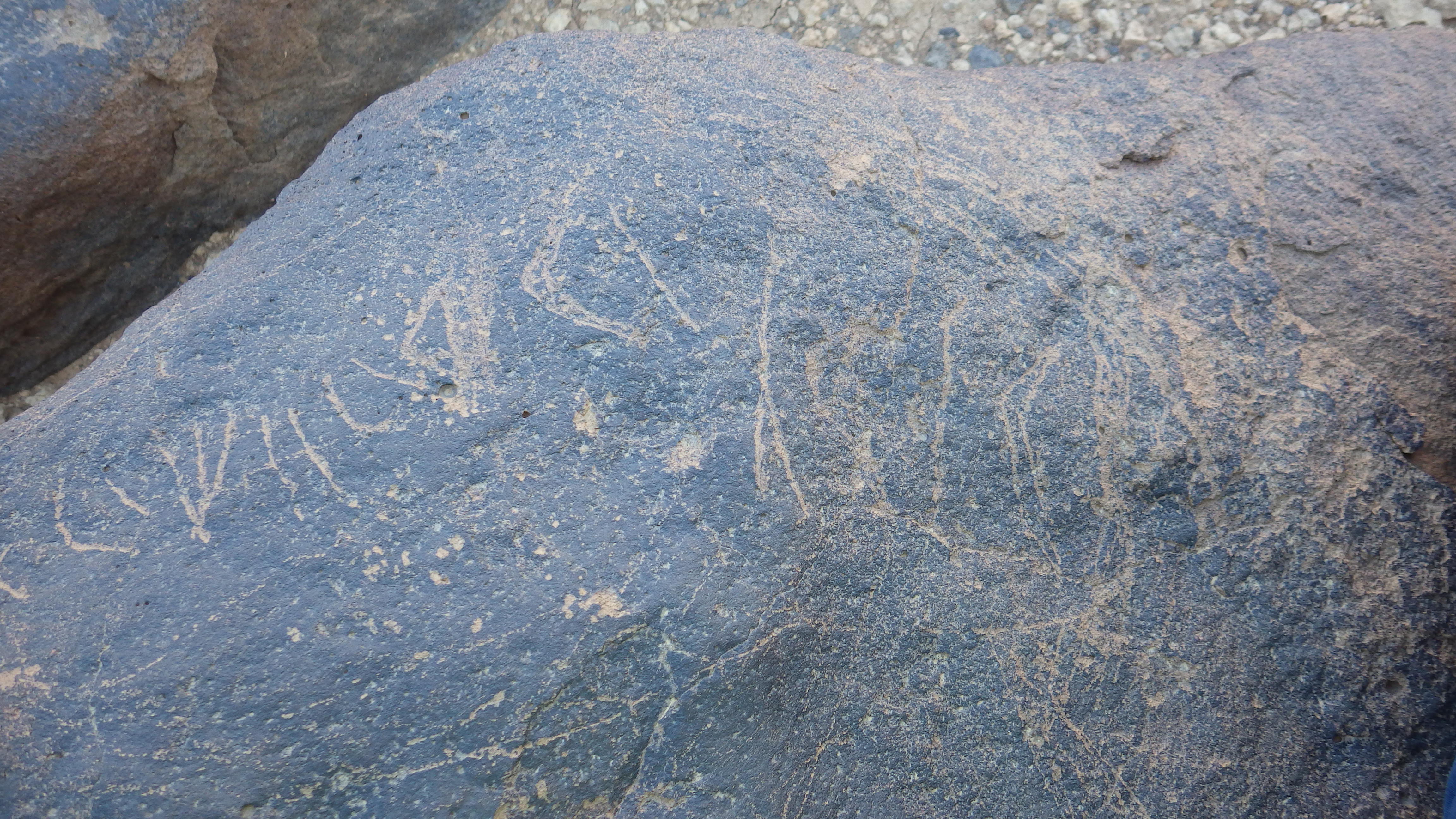 Image of siglum BES20 565