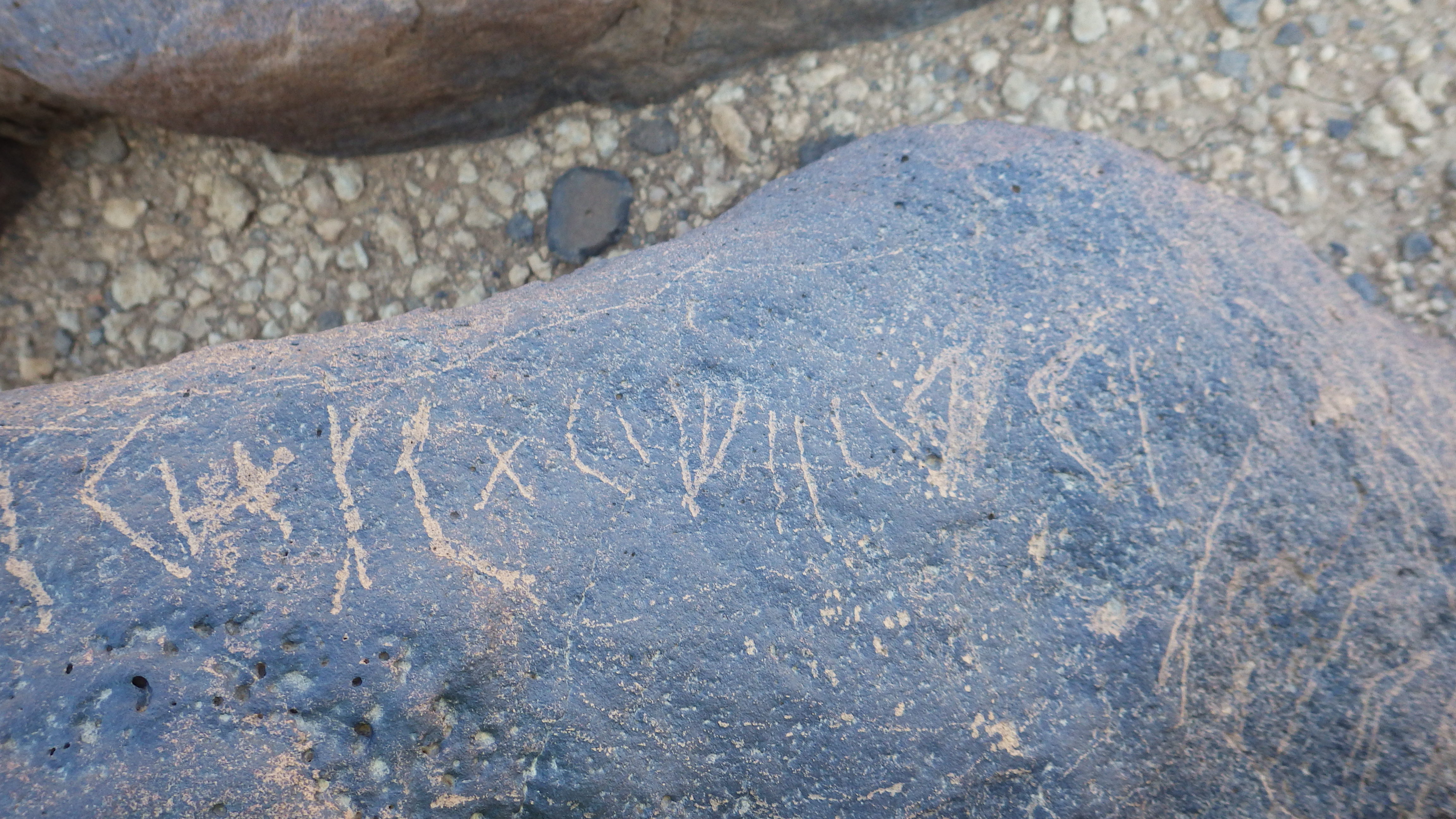 Image of siglum BES20 565