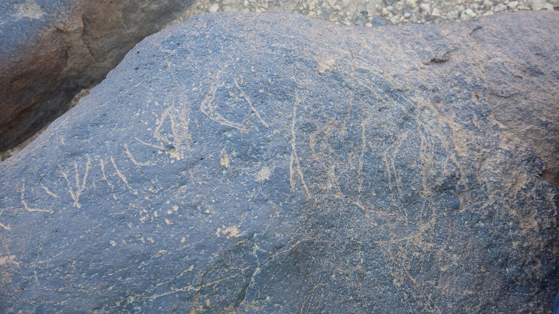 Image of siglum BES20 565