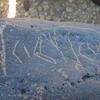 Image of siglum BES20 565